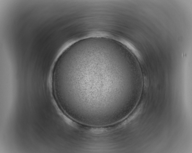 X0000111641046200907241107