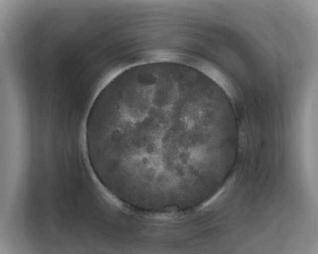 X0000111641047200907241107