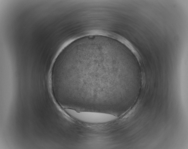 X0000111641048200907241107