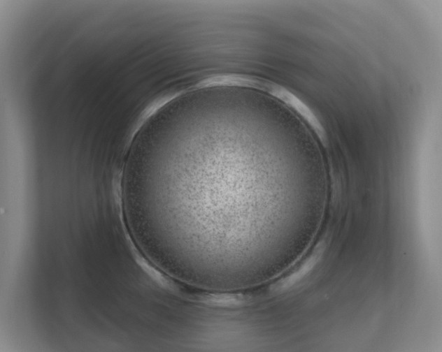 X0000111641049200907241107