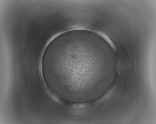 X0000111641051200907241107