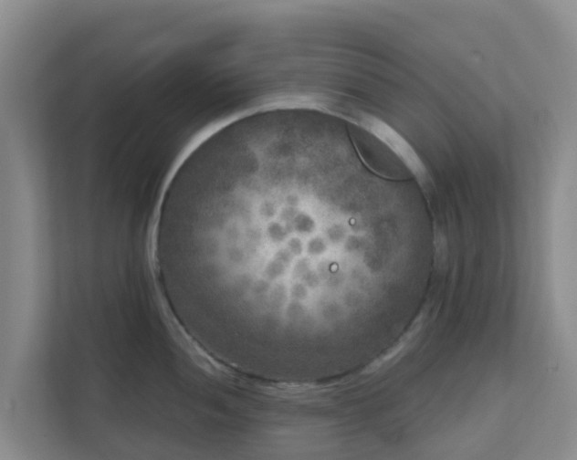 X0000111641052200907241107