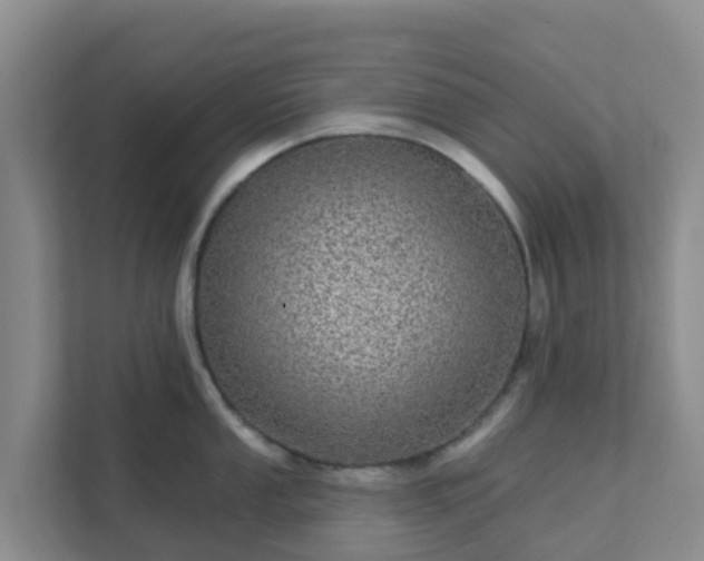 X0000111641053200907241107