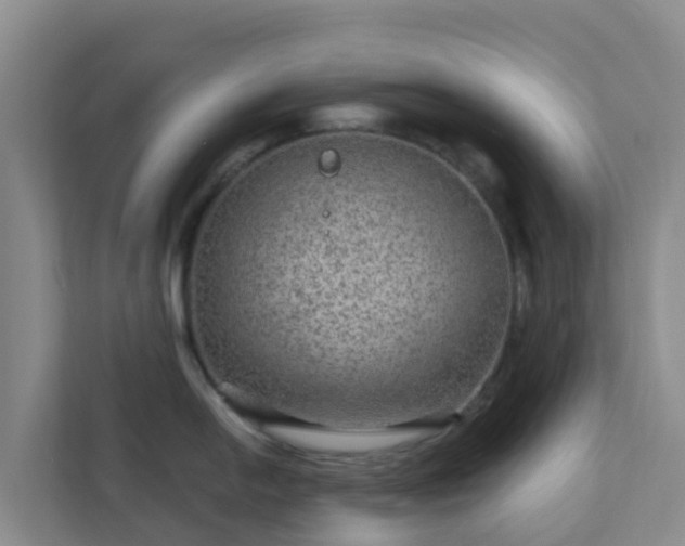 X0000111641054200907241107