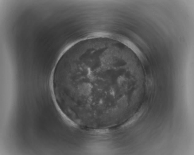 X0000111641055200907241107