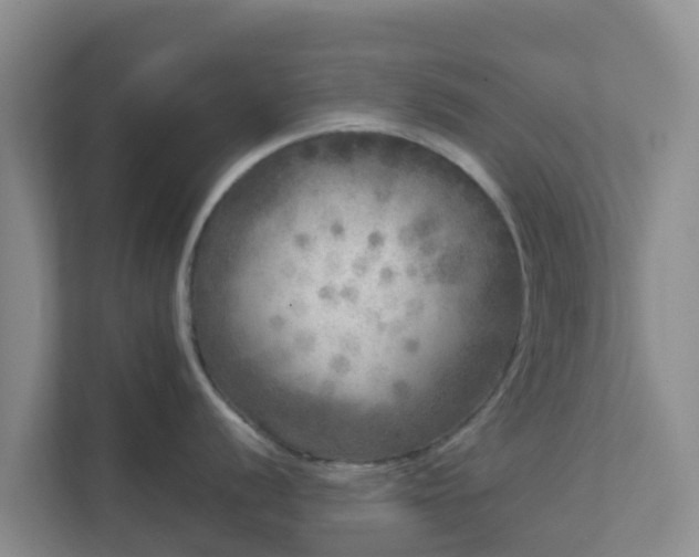 X0000111641056200907241107