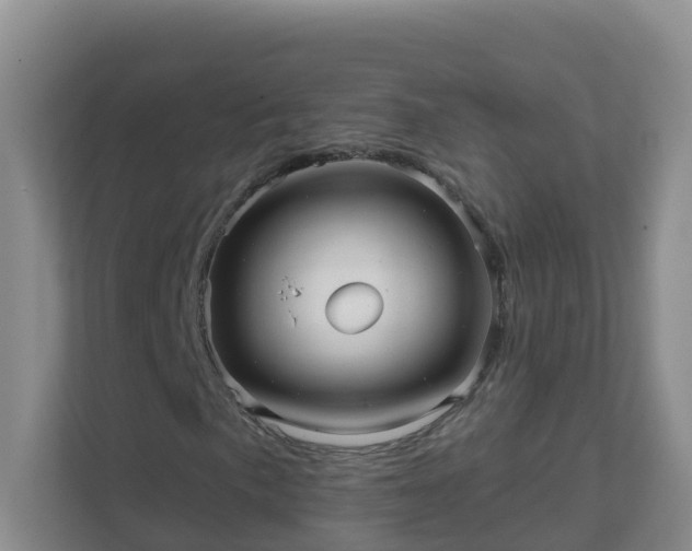 X0000111641057200907241106