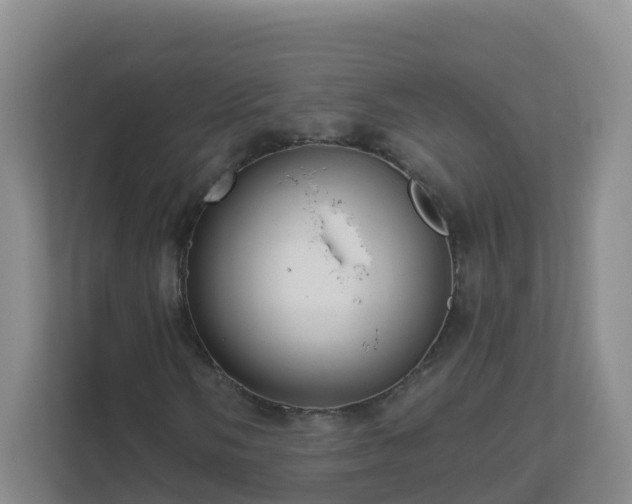 X0000111641058200907241106