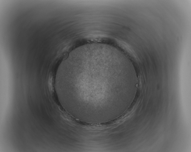 X0000111641060200907241106