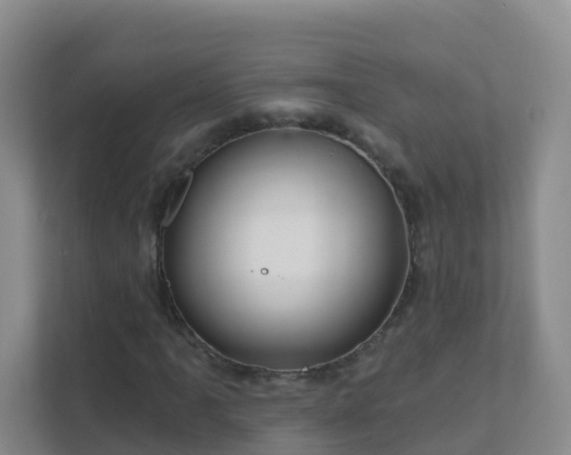 X0000111641061200907241106