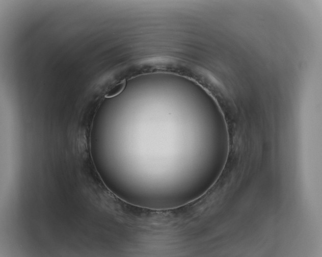 X0000111641062200907241106