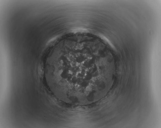 X0000111641063200907241106