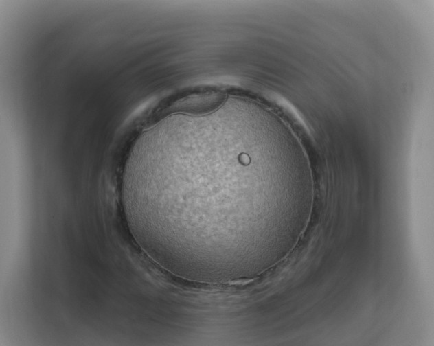 X0000111641064200907241106