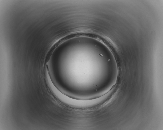 X0000111641065200907241106