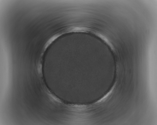 X0000111641066200907241106