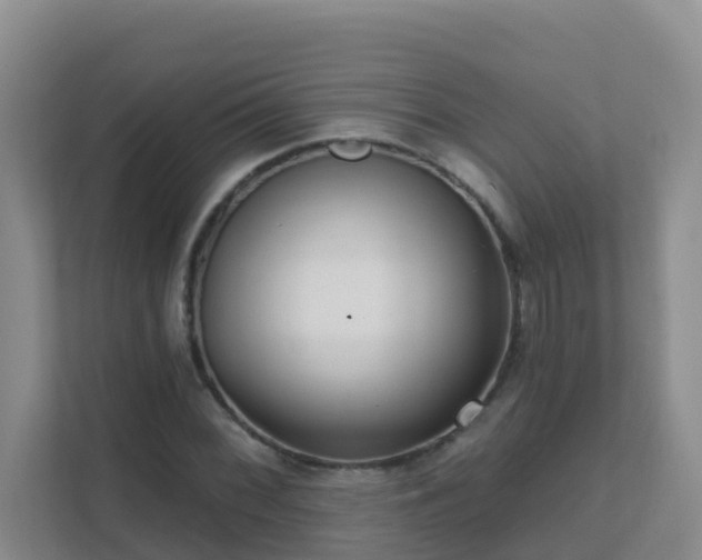 X0000111641068200907241106