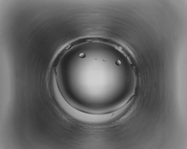 X0000111641069200907241106