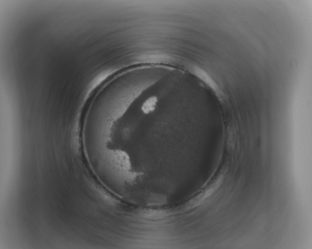 X0000111641071200907241106