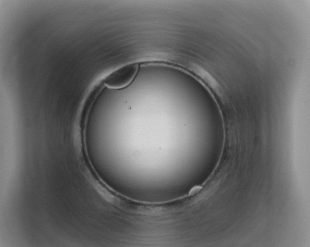 X0000111641072200907241106