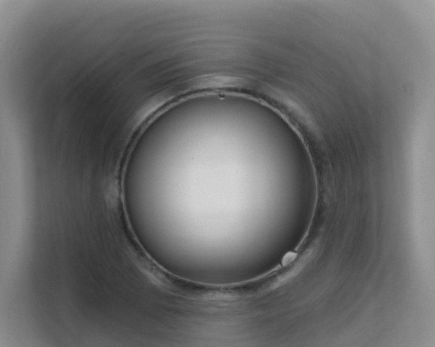 X0000111641073200907241106