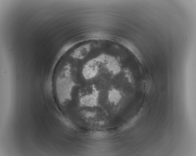 X0000111641074200907241106