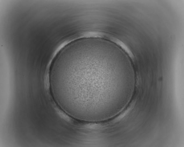 X0000111641075200907241106