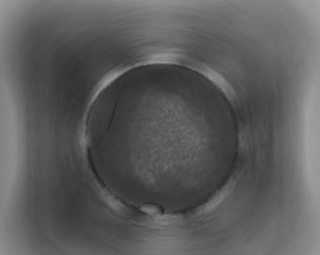 X0000111641077200907241106