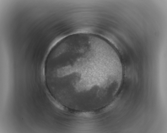 X0000111641078200907241106