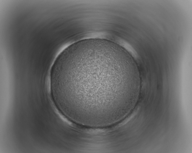 X0000111641079200907241106