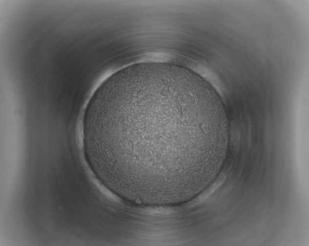 X0000111641083200907241106