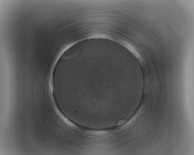 X0000111641084200907241106