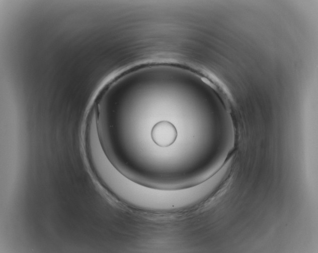 X0000111641085200907241106