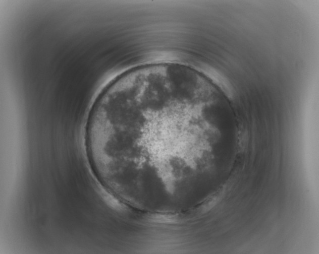 X0000111641086200907241106