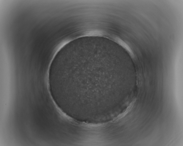 X0000111641087200907241106