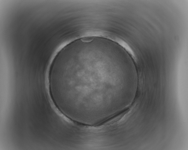 X0000111641088200907241106