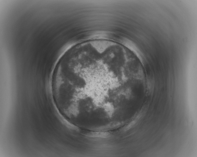 X0000111641090200907241106