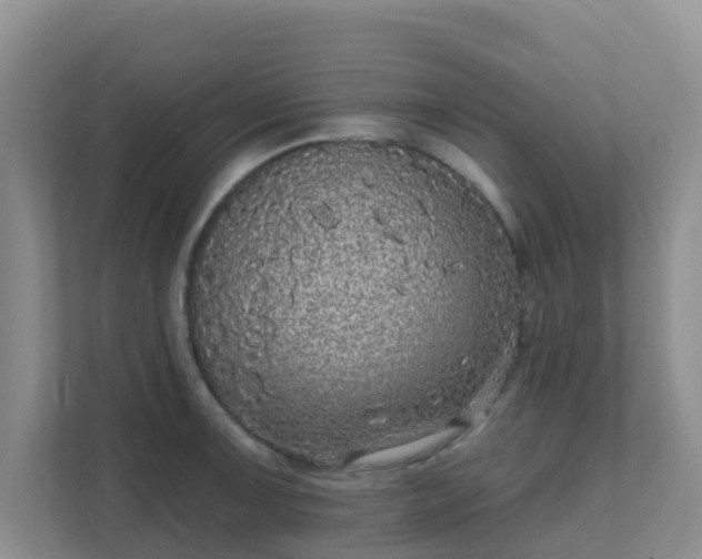 X0000111641091200907241106