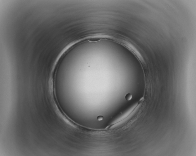 X0000111641092200907241106