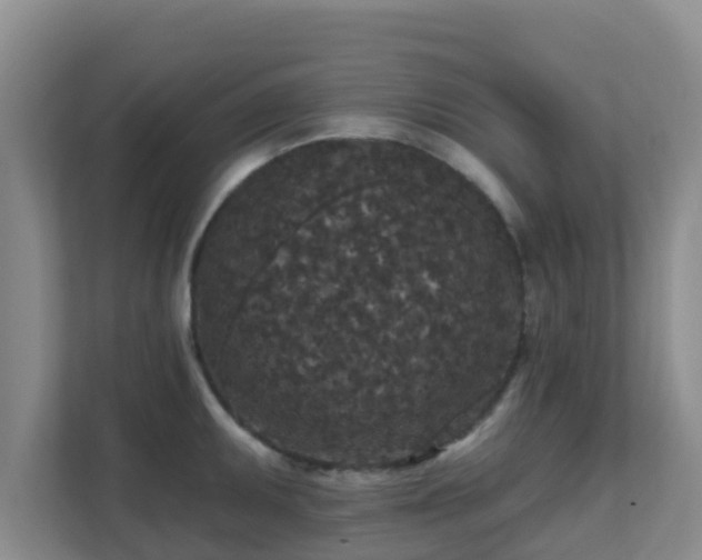 X0000111641095200907241106