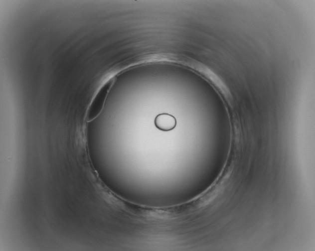 X0000111641097200907241106