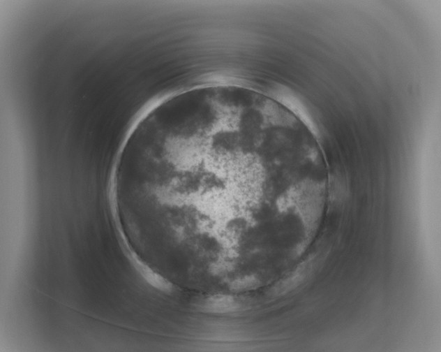 X0000111641098200907241106