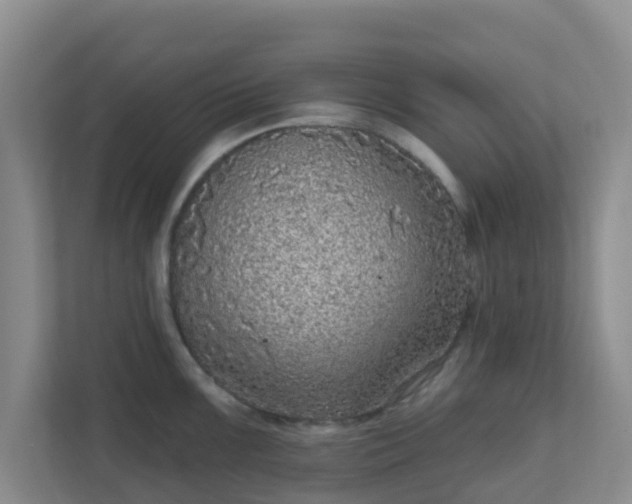 X0000111641099200907241106