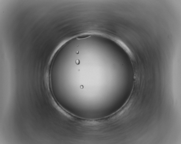 X0000111641100200907241106