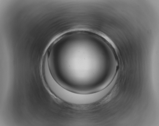 X0000111641101200907241106