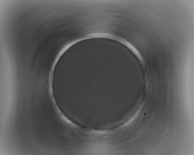 X0000111641102200907241106