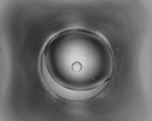 X0000111641104200907241105