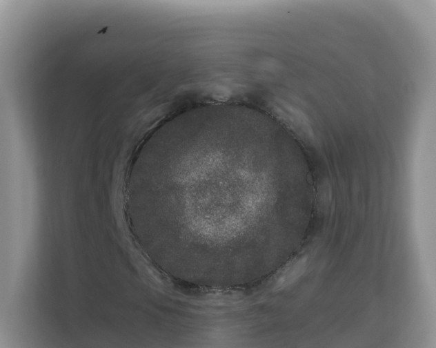 X0000111641105200907241105