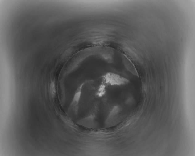 X0000111641106200907241105