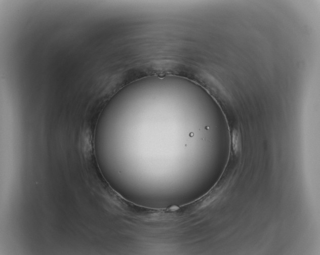 X0000111641107200907241105