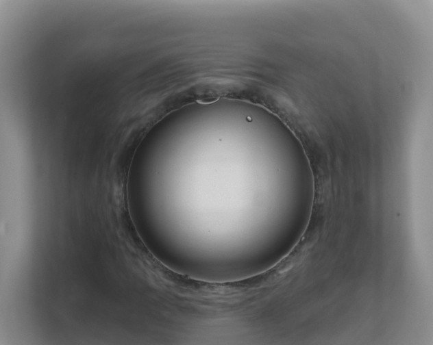 X0000111641109200907241105